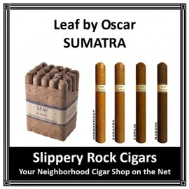 Leaf by Oscar Sumatra Gordo